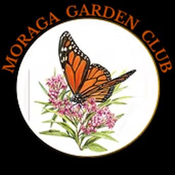 Moraga Garden Club